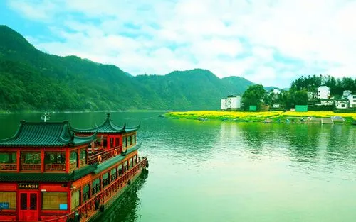 创意创意绿色